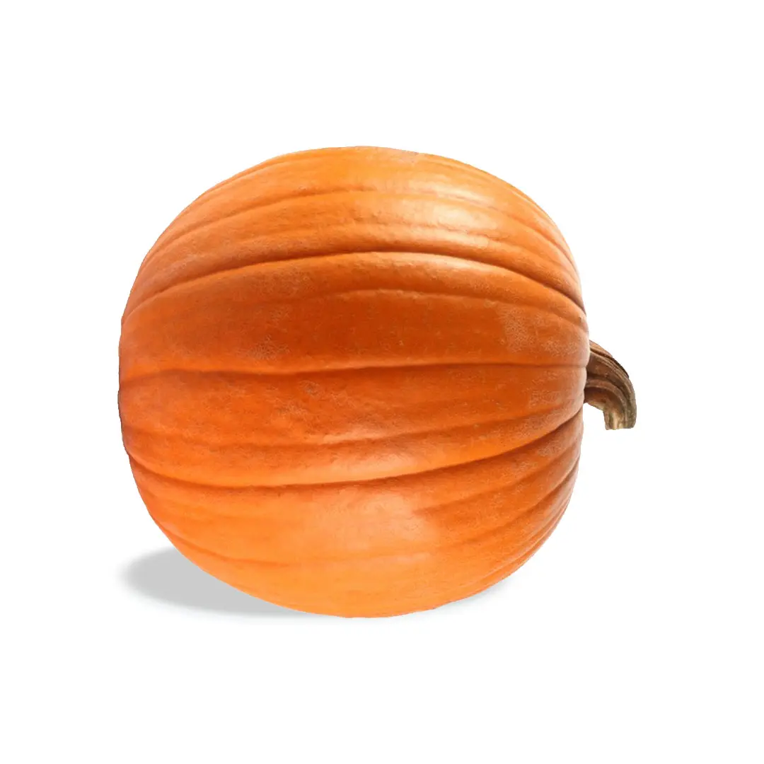 Pumpkin Jumbo
