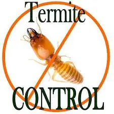 Termite Inspection