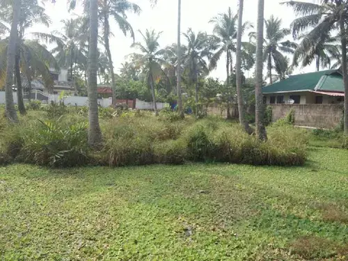 Commercial Plot for Sale