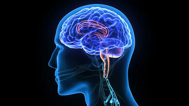 Neurosurgeon