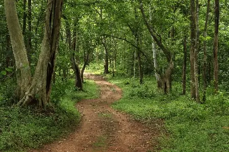 Konni Reserve Forest