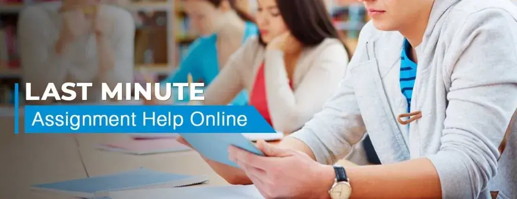 Last Minute Assignment Help