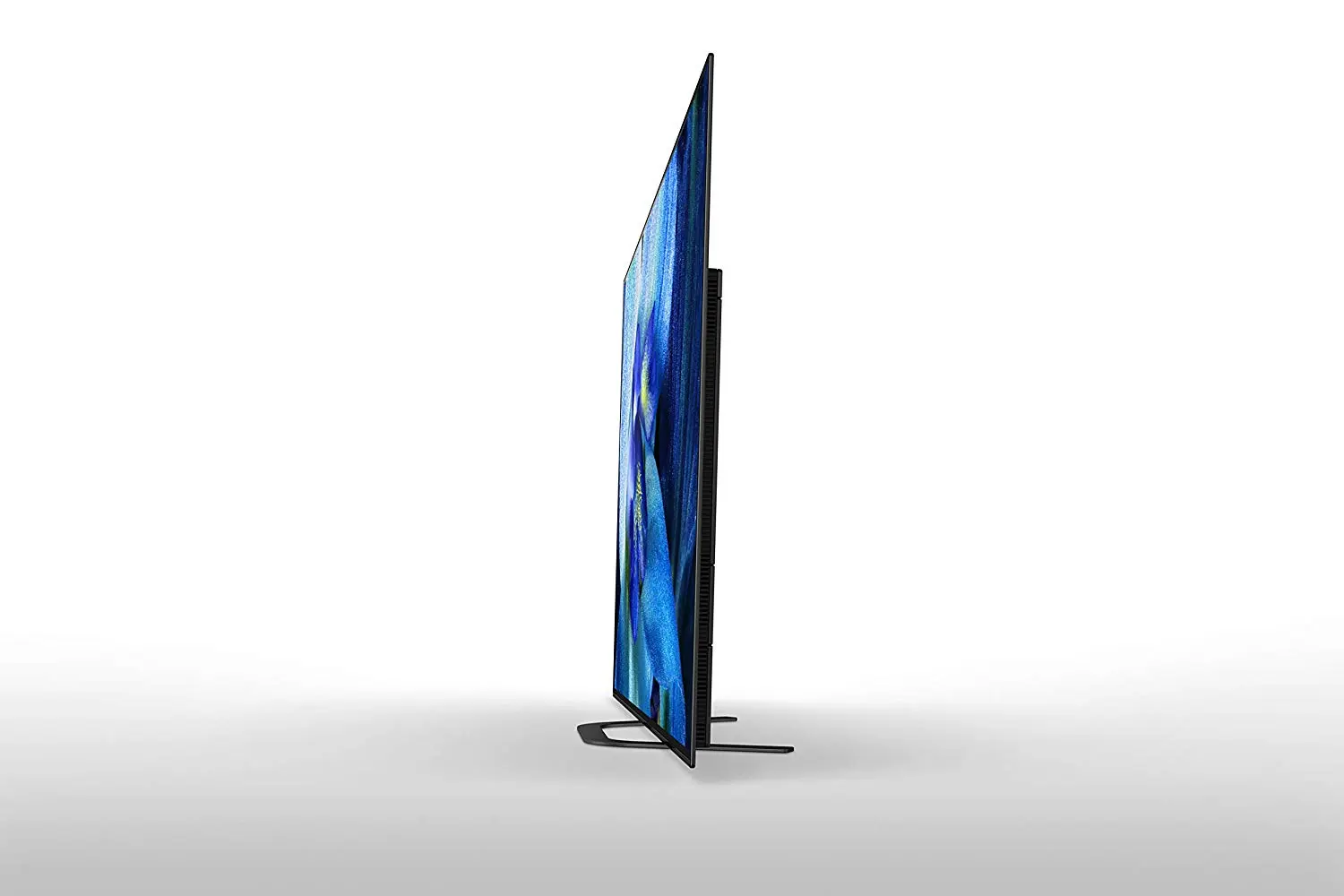 Sony XBR-65A8G 65 Inch TV: BRAVIA OLED 4K Ultra HD Smart TV with HDR and Alexa Compatibility - 2019 Model