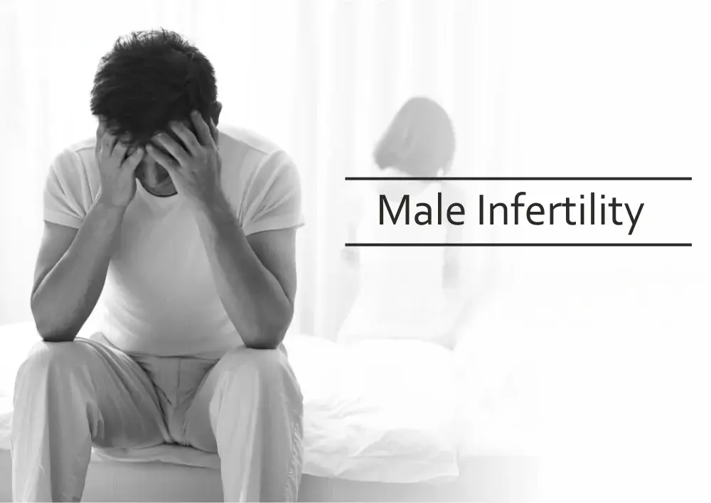 Male Infertility Treatment