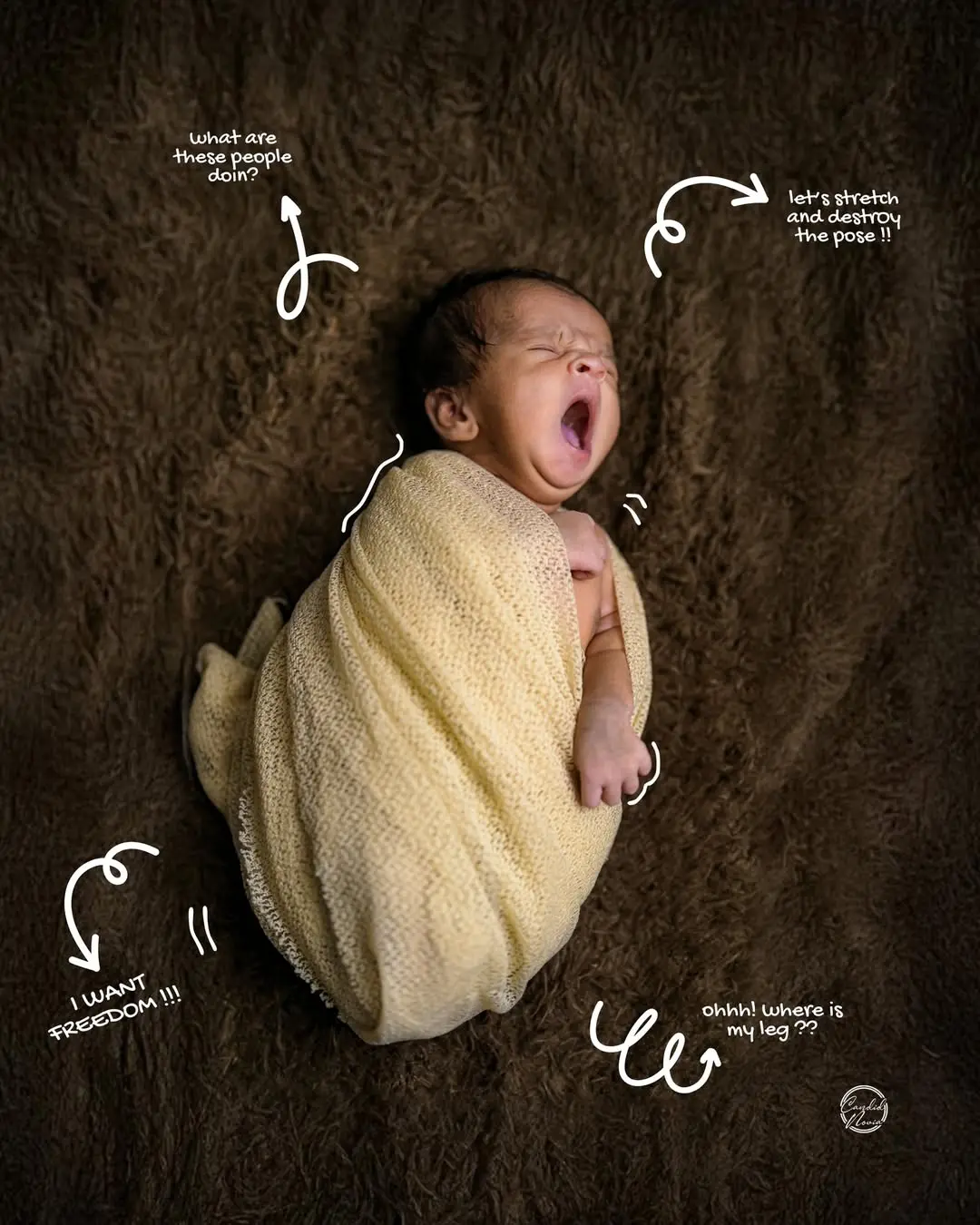 Newborn Photography
