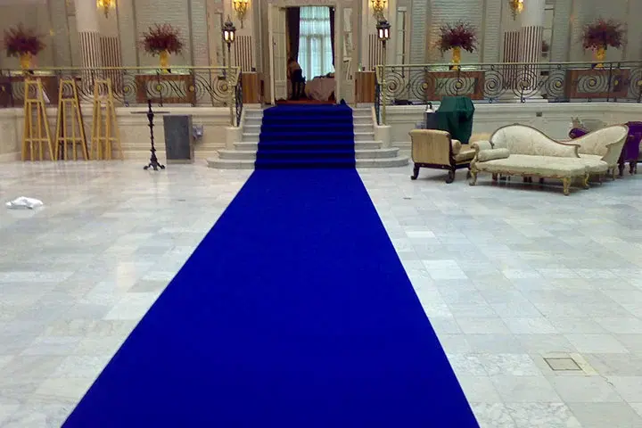 Buy Blue Carpet