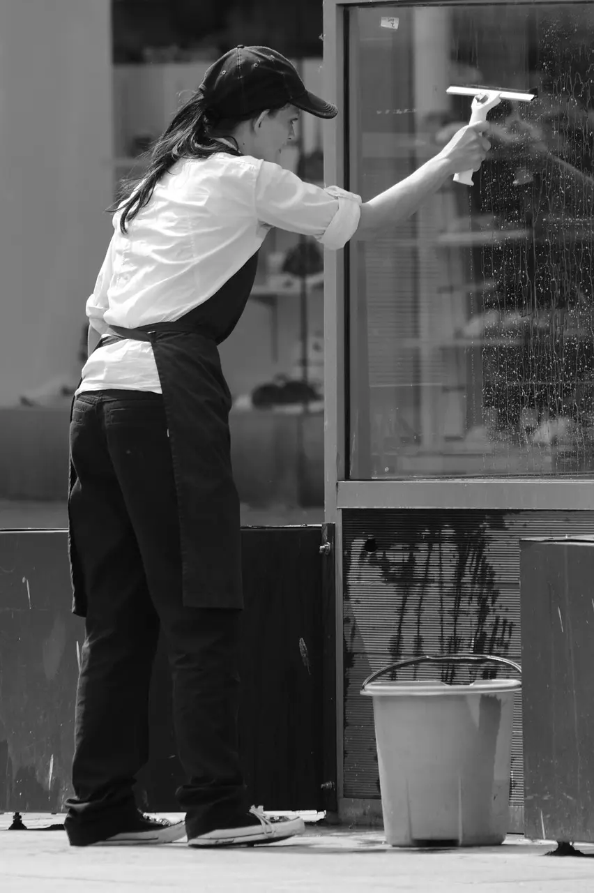 Cleaning Services