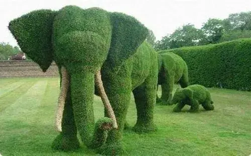 Grass Artwork
