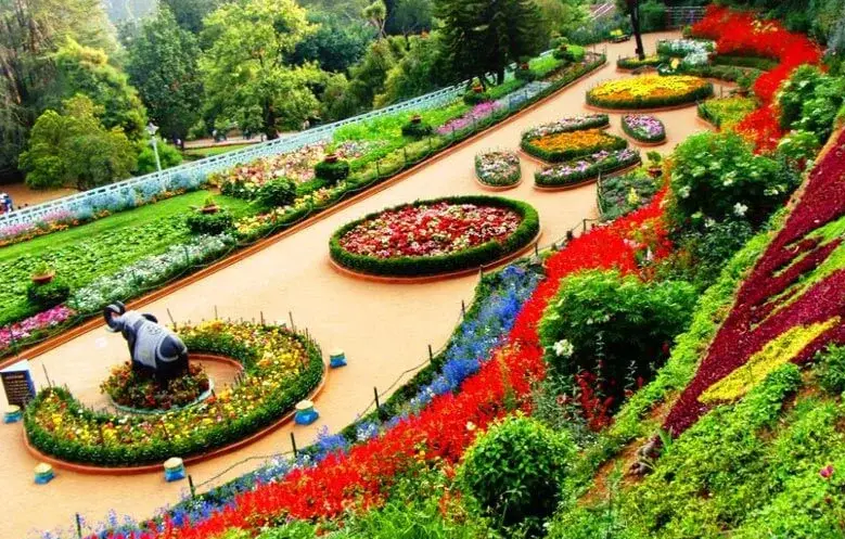 Mysore to Ooty Taxi