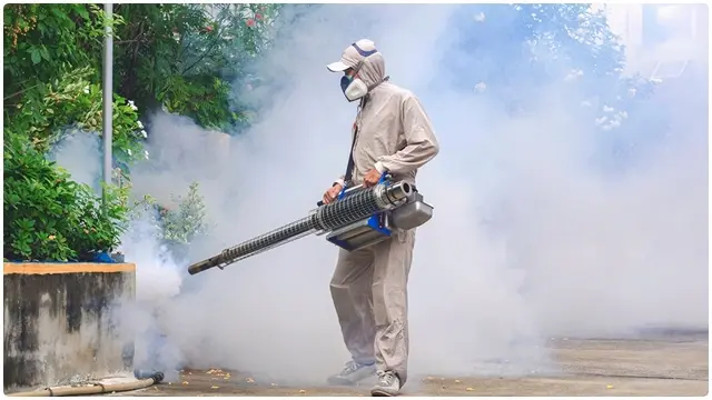 Mosquito Treatment