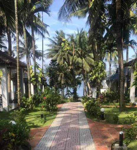 Soft Landscaping