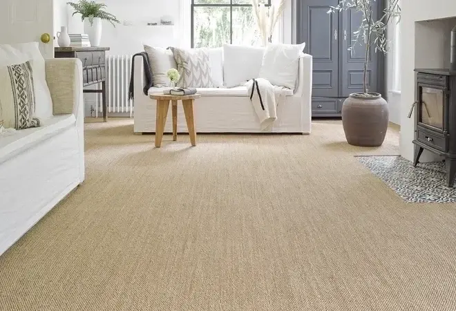 Sisal Carpet