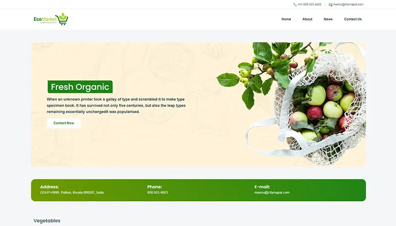 Theme Ecommerce
