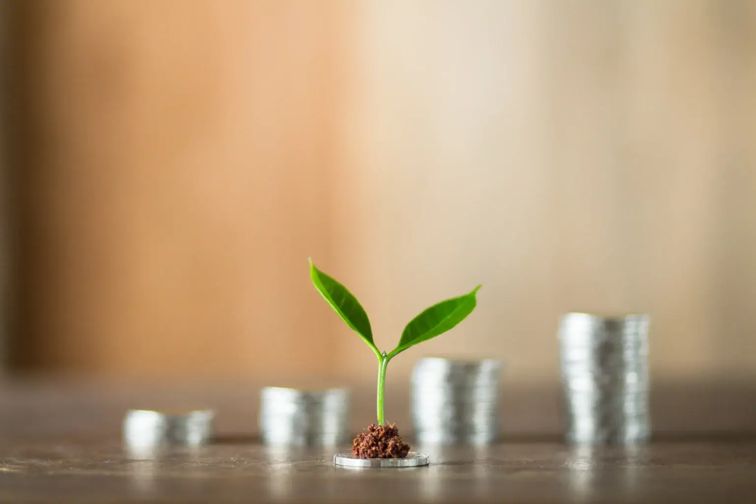 SME Finance