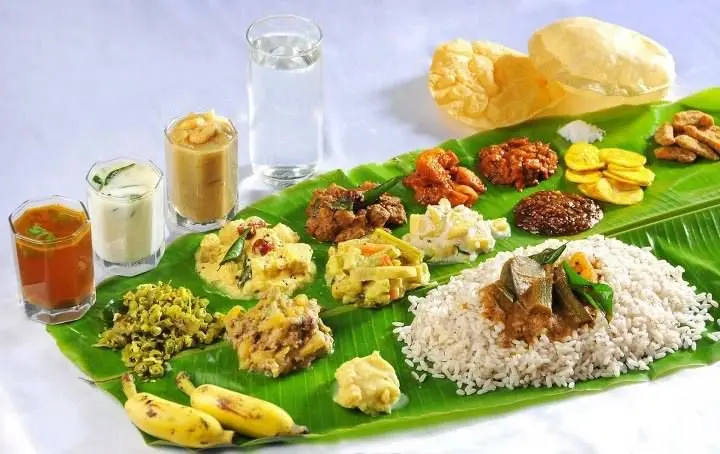Vegetable Meals