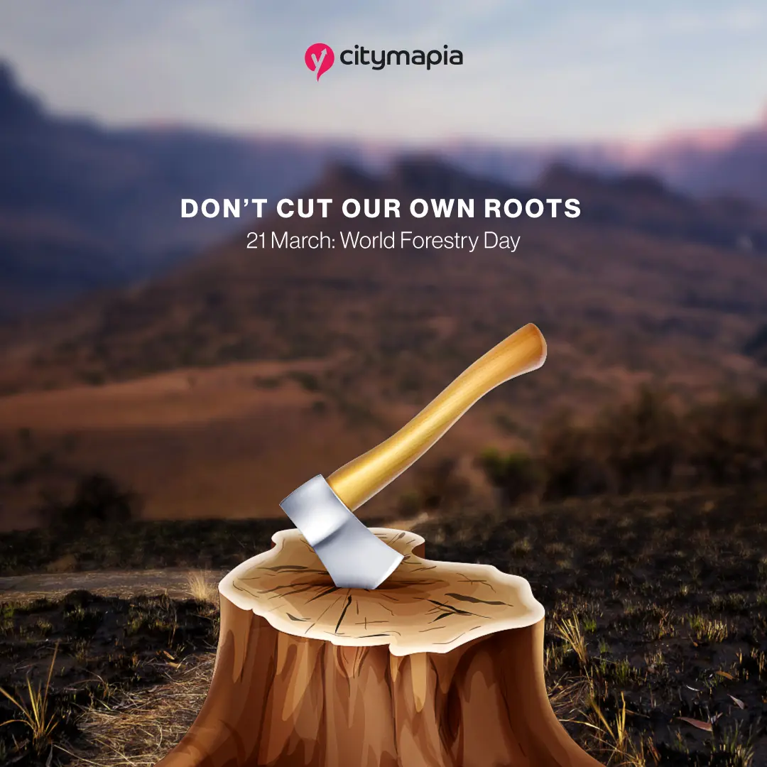 World Forestry Day
