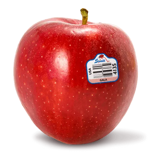 APPLE USA