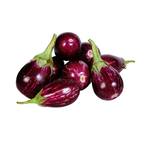 BRINJAL KATRIKKA