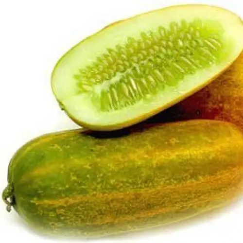 CUCUMBER YELLOW