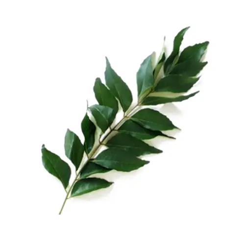 CURRY LEAVES