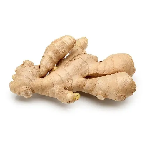 GINGER
