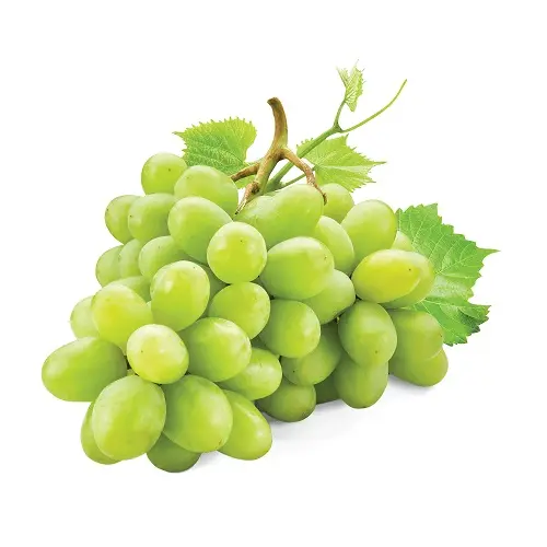 GRAPE WHITE