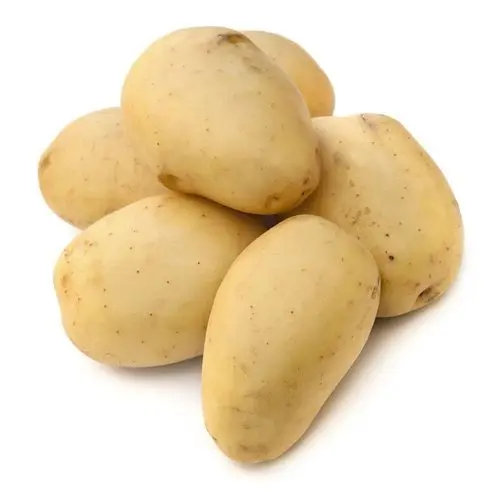 POTATO BIG