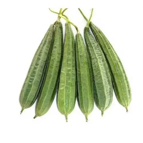 RIDGE GOURD (PEECHINGA)
