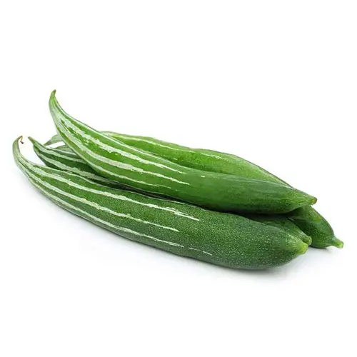 SNAKE GOURD PADAVALANGA