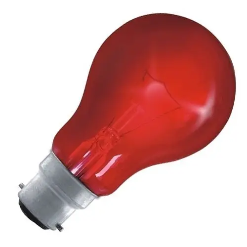EVEREADY GLS LAMP 40W