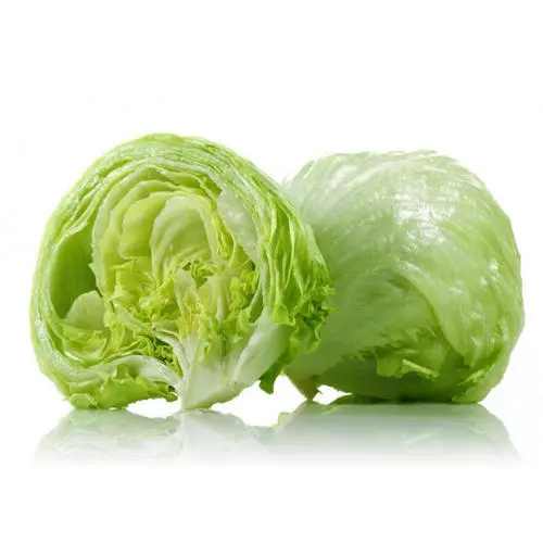 iceburg lettuce