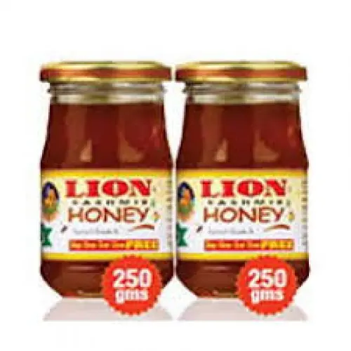 LION KASHMIR HONEY 250 GM