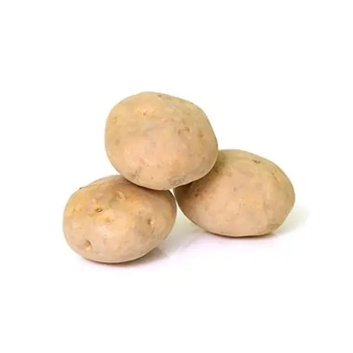 Potato