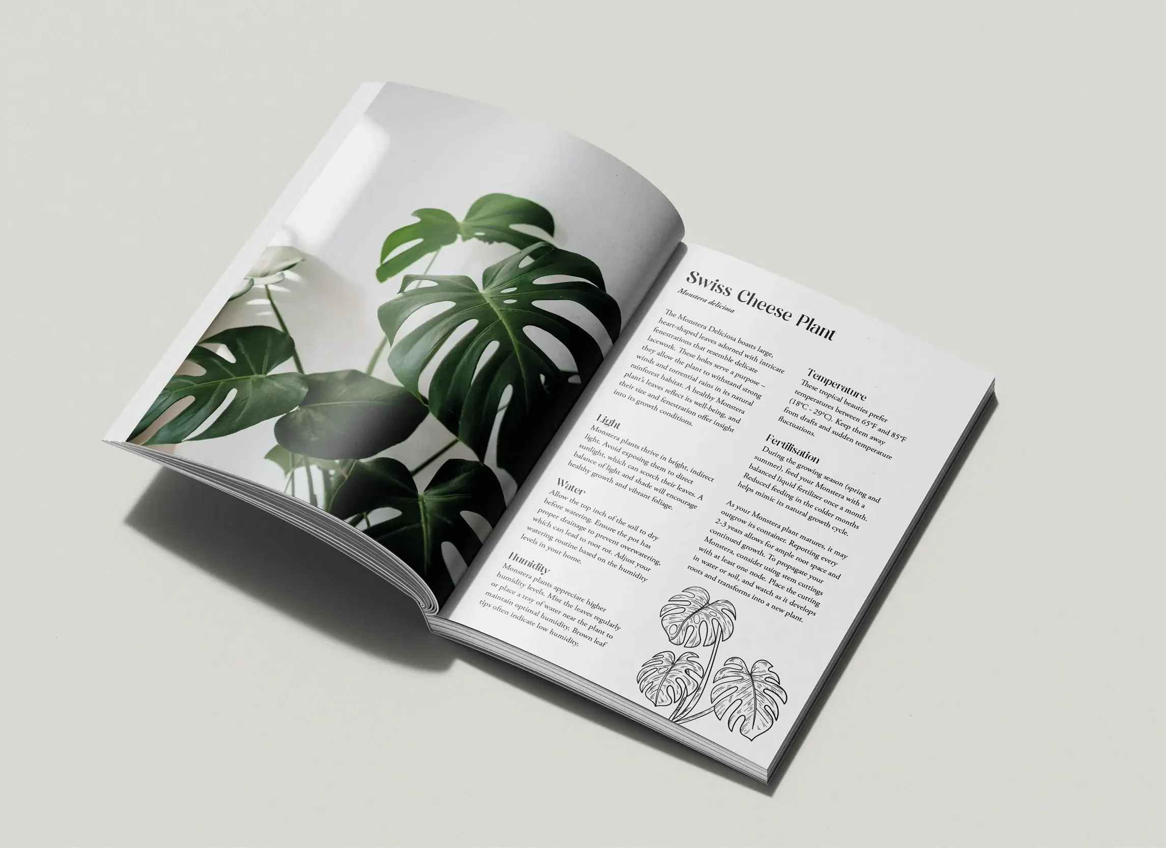 Book Layout Design