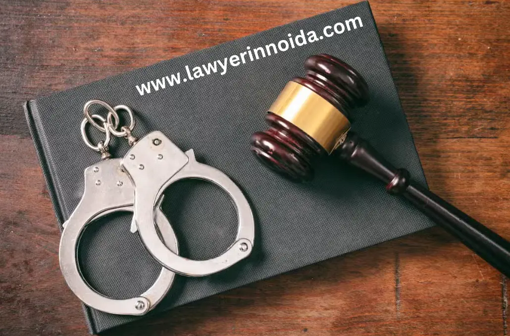 Criminal Cases