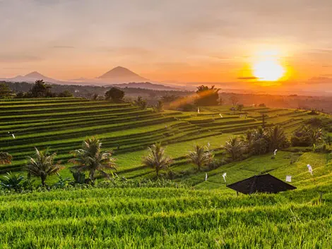 Tours to Bali