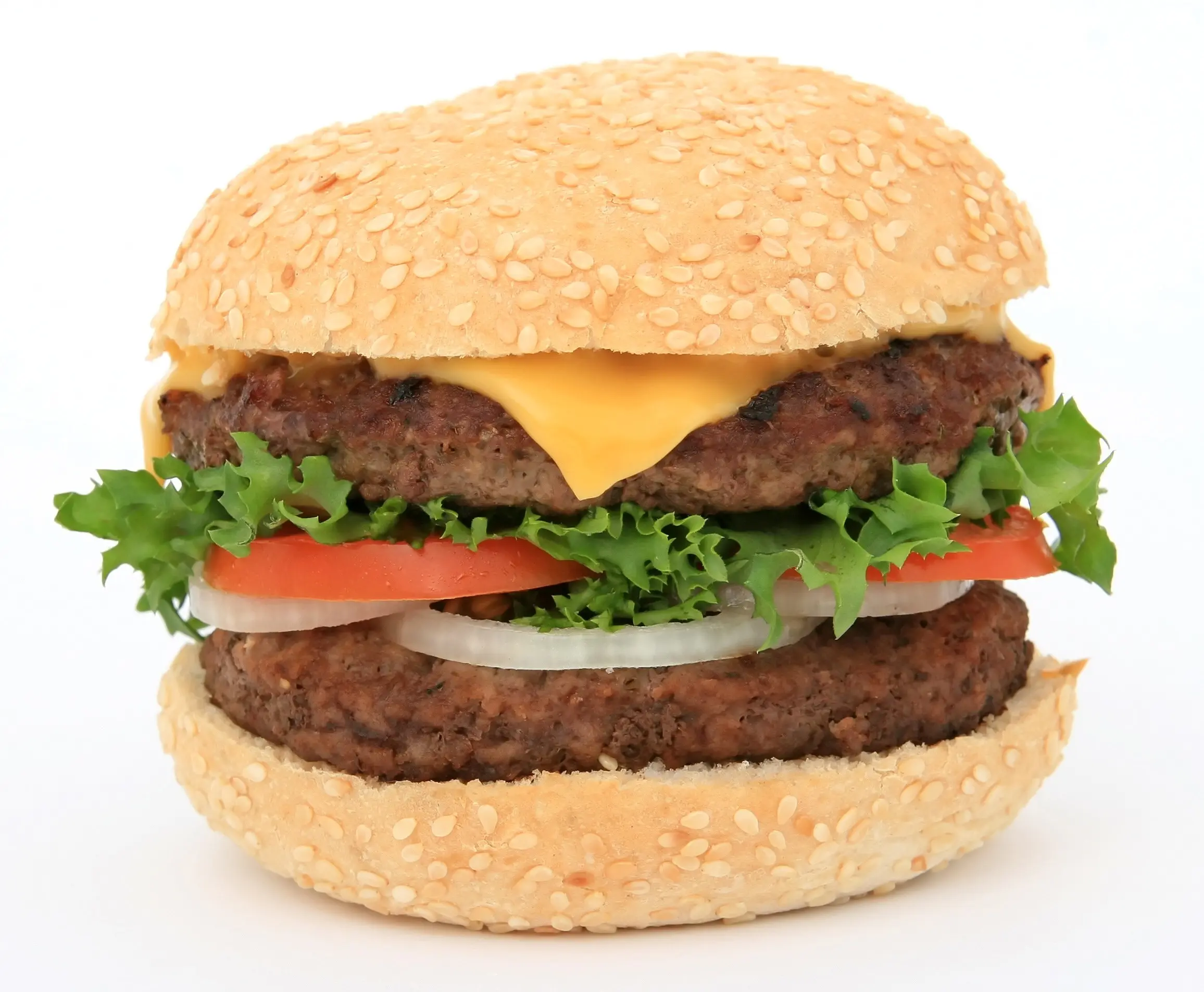 Hamburger