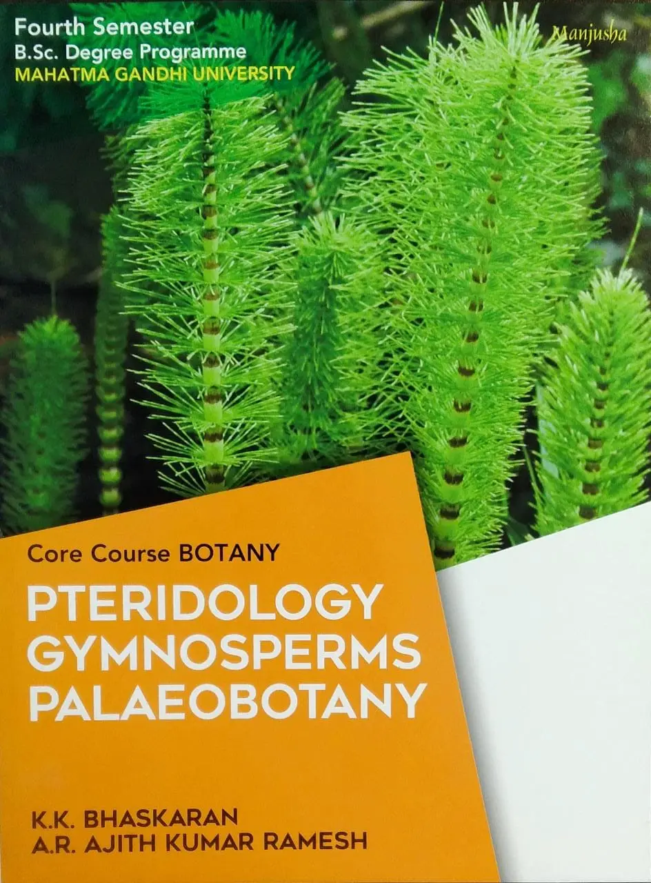 Petridology Gymnosperms PalaeoBotany  BSC Semester 4 ( core course botany )  M.G University