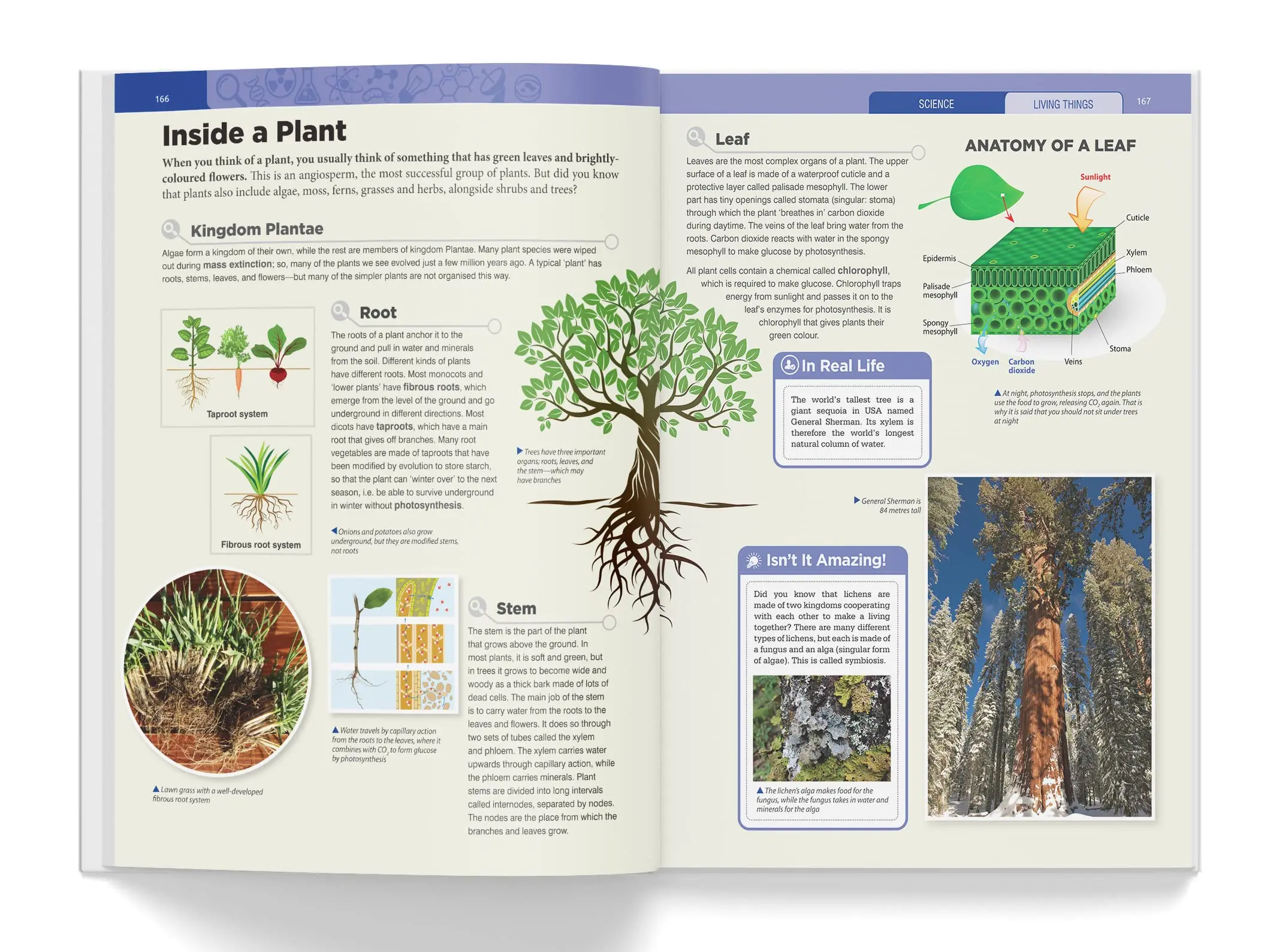 Knowledge Encyclopedia | Science
