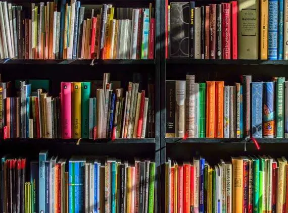 The Children’s Library and JawaharBalBhavan
