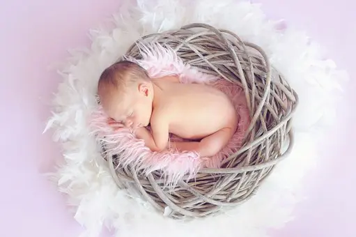 Fertility