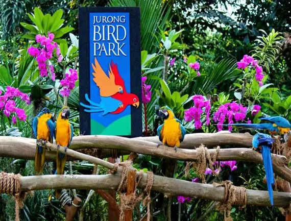 MALAYSIA SINGAPORE COMBO PACKAGE