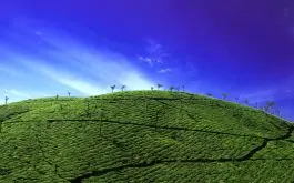 Scenic Kerala