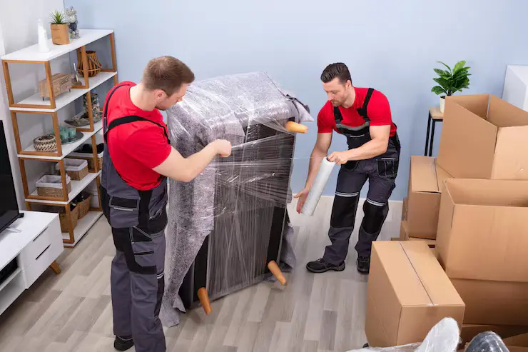 Local And Domestic Shifting