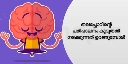 തലച്ചോറിന്റെ പരിപാലനം കൂടുതൽ നടക്കുന്നത് ഉറങ്ങുമ്പോൾ