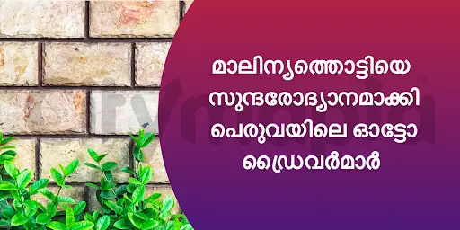 മാലിന്യത്തൊട്ടിയെ സുന്ദരോദ്യാനമാക്കി പെരുവയിലെ ഓട്ടോ ഡ്രൈവർമാർ