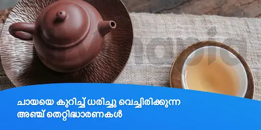 ചായയെ കുറിച്ച് ധരിച്ചു വെച്ചിരിക്കുന്ന അഞ്ച് തെറ്റിദ്ധാരണകൾ