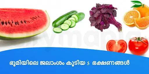 ഭൂമിയിലെ ജലാംശം കൂടിയ 5 ഭക്ഷണങ്ങൾ