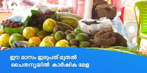 ഈ മാസം ഇരുപത് മുതൽ ചൈതന്യയിൽ കാർഷിക മേള