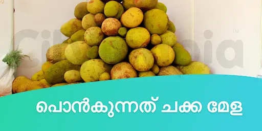 പൊൻകുന്നത് ചക്ക മേള